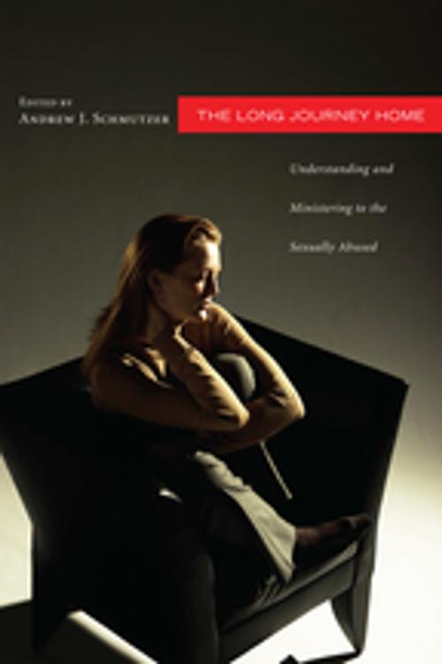 Cover of the book The Long Journey Home by , Wipf and Stock Publishers