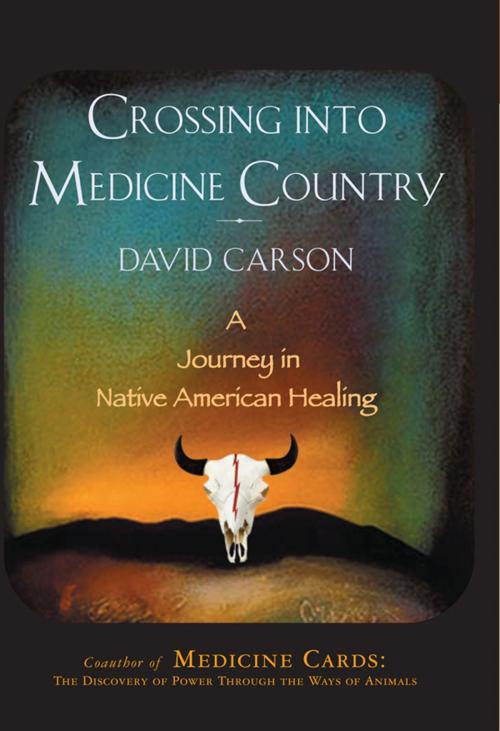 Cover of the book Crossing into Medicine Country by David Carson, Skyhorse Publishing