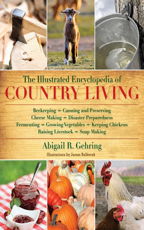 Cover of the book The Illustrated Encyclopedia of Country Living by Abigail Gehring, Skyhorse