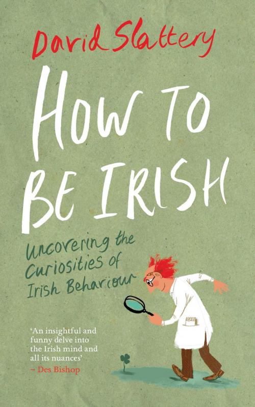 Cover of the book How to Be Irish by David Slattery, Orpen Press