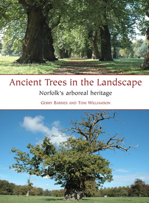 Cover of the book Ancient Trees in the Landscape by Gerry Barnes, Tom Williamson, Windgather Press
