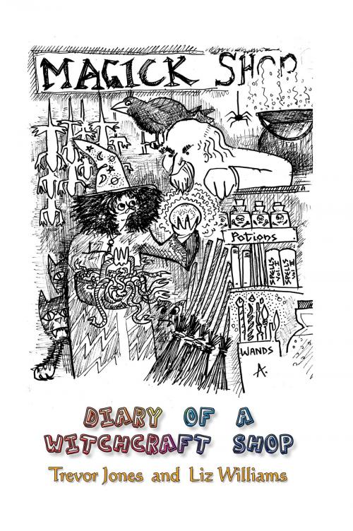 Cover of the book Diary of a Witchcraft Shop by Liz Williams, NewCon Press