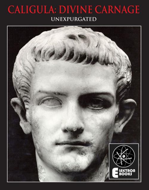 Cover of the book Caligula: Divine Carnage: Atrocities Of The Roman Emperors by Stephen Barber, SCB Distributors