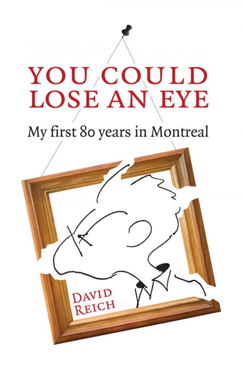 Cover of the book You Could Lose an Eye by David Reich, Baraka Books