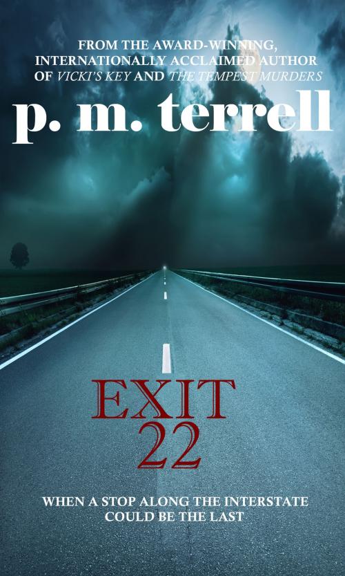 Cover of the book Exit 22 by P.M. Terrell, Drake Valley Press