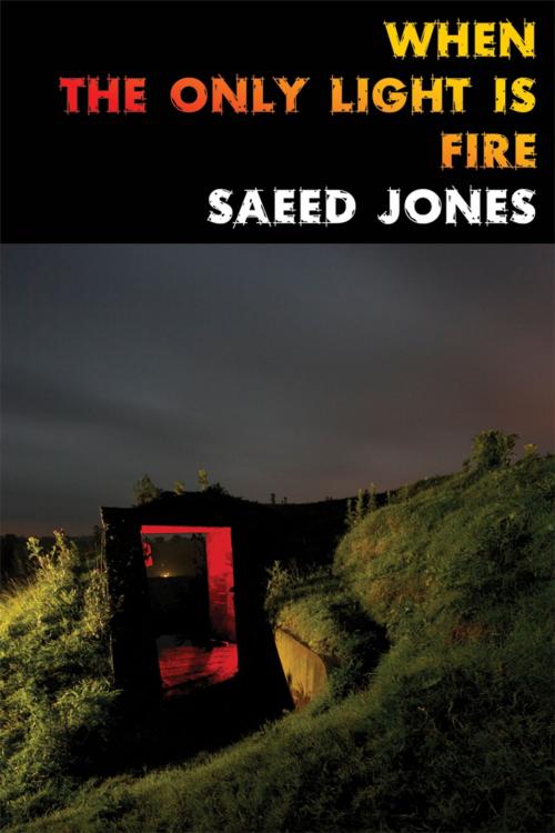 Cover of the book When the Only Light Is Fire by Saeed Jones, Sibling Rivalry Press