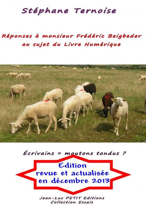 Cover of the book Réponses à monsieur Frédéric Beigbeder au sujet du Livre Numérique by Stéphane Ternoise, Jean-Luc PETIT Editions