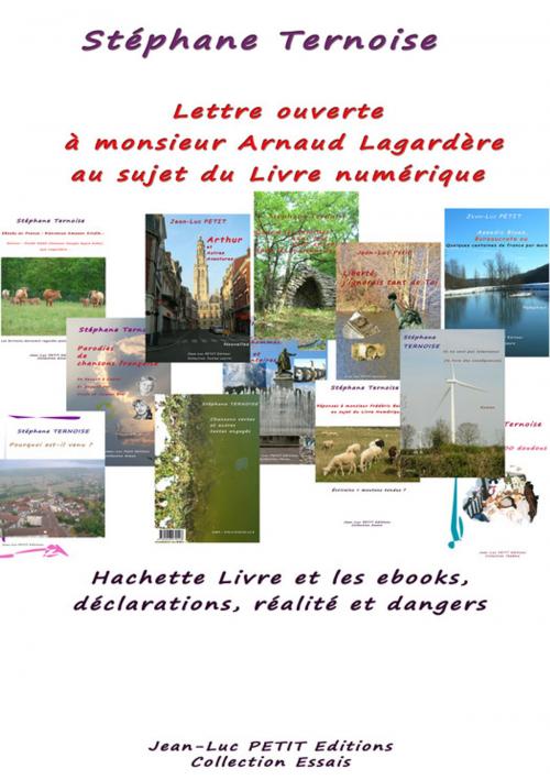 Cover of the book Lettre ouverte à monsieur Arnaud Lagardère au sujet du Livre numérique by Stéphane Ternoise, Jean-Luc PETIT Editions