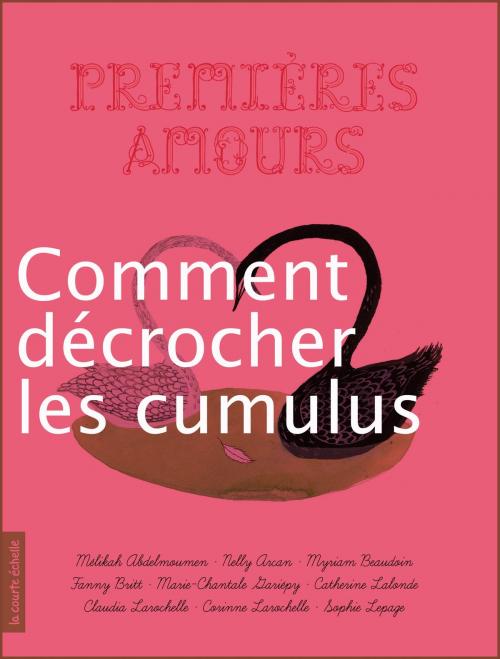 Cover of the book Comment décrocher les cumulus by Claudia Larochelle, La courte échelle