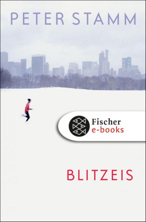 Cover of the book Blitzeis by Peter Stamm, FISCHER E-Books