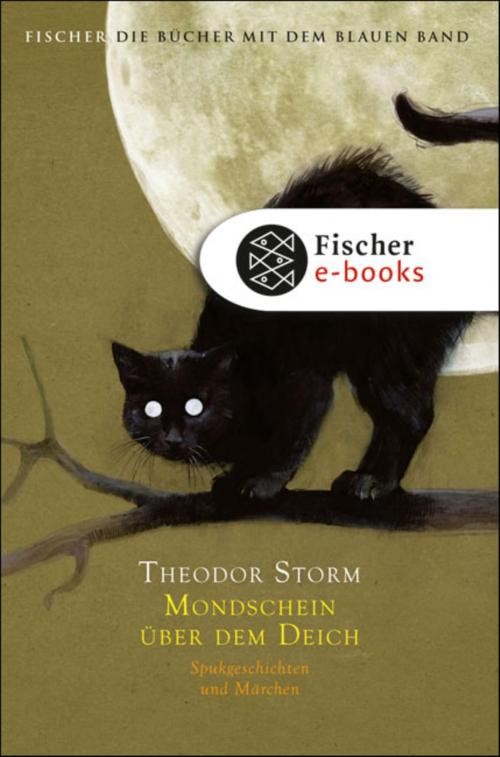 Cover of the book Mondschein über dem Deich by Theodor Storm, Tilman Spreckelsen, SFV: FISCHER Kinder- und Jugendbuch E-Books