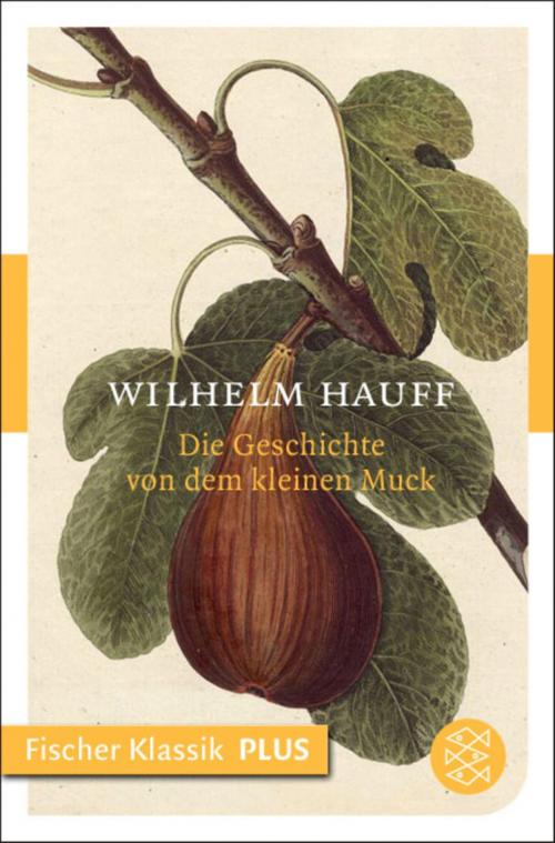 Cover of the book Die Geschichte von dem kleinen Muck by Wilhelm Hauff, FISCHER E-Books