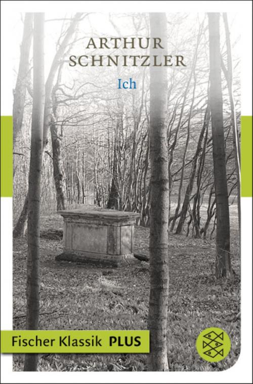 Cover of the book Ich by Arthur Schnitzler, FISCHER E-Books