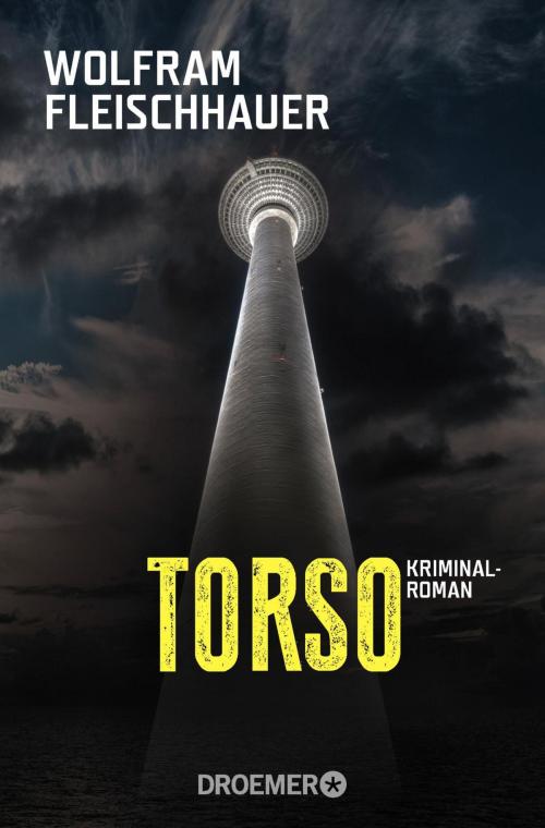 Cover of the book Torso by Wolfram Fleischhauer, Droemer eBook