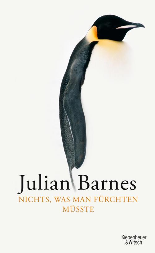Cover of the book Nichts, was man fürchten müsste by Julian Barnes, Kiepenheuer & Witsch eBook
