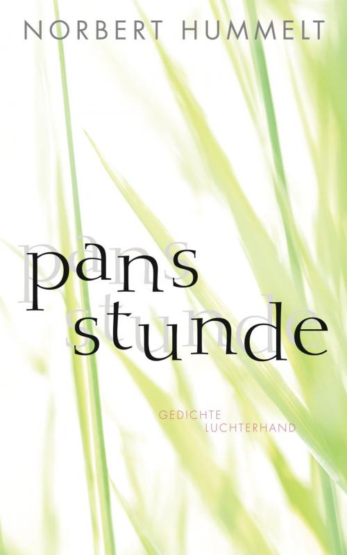 Cover of the book Pans Stunde by Norbert Hummelt, Luchterhand Literaturverlag