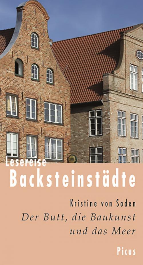 Cover of the book Lesereise Backsteinstädte by Kristine von Soden, Picus Verlag