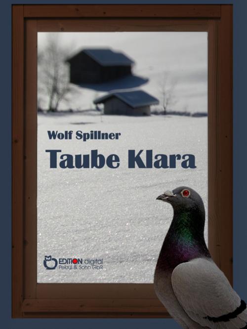 Cover of the book Taube Klara oder Zufälle gibt es nicht by Wolf Spillner, EDITION digital