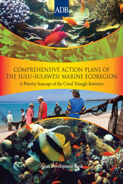 Cover of the book Comprehensive Action Plans of the Sulu-Sulawesi Marine Ecoregion by Asian Development Bank, Asian Development Bank
