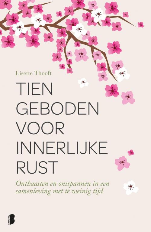 Cover of the book Tien geboden voor innerlijke rust by Lisette Thooft, Meulenhoff Boekerij B.V.
