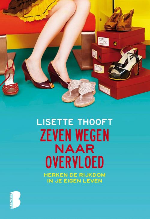 Cover of the book Zeven wegen naar overvloed by Lisette Thooft, Meulenhoff Boekerij B.V.