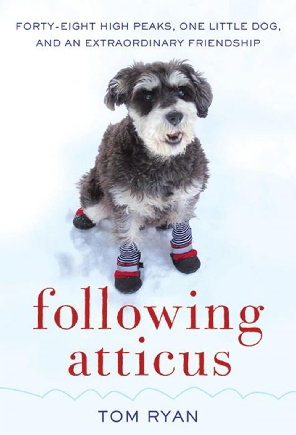 Big bigCover of Following Atticus