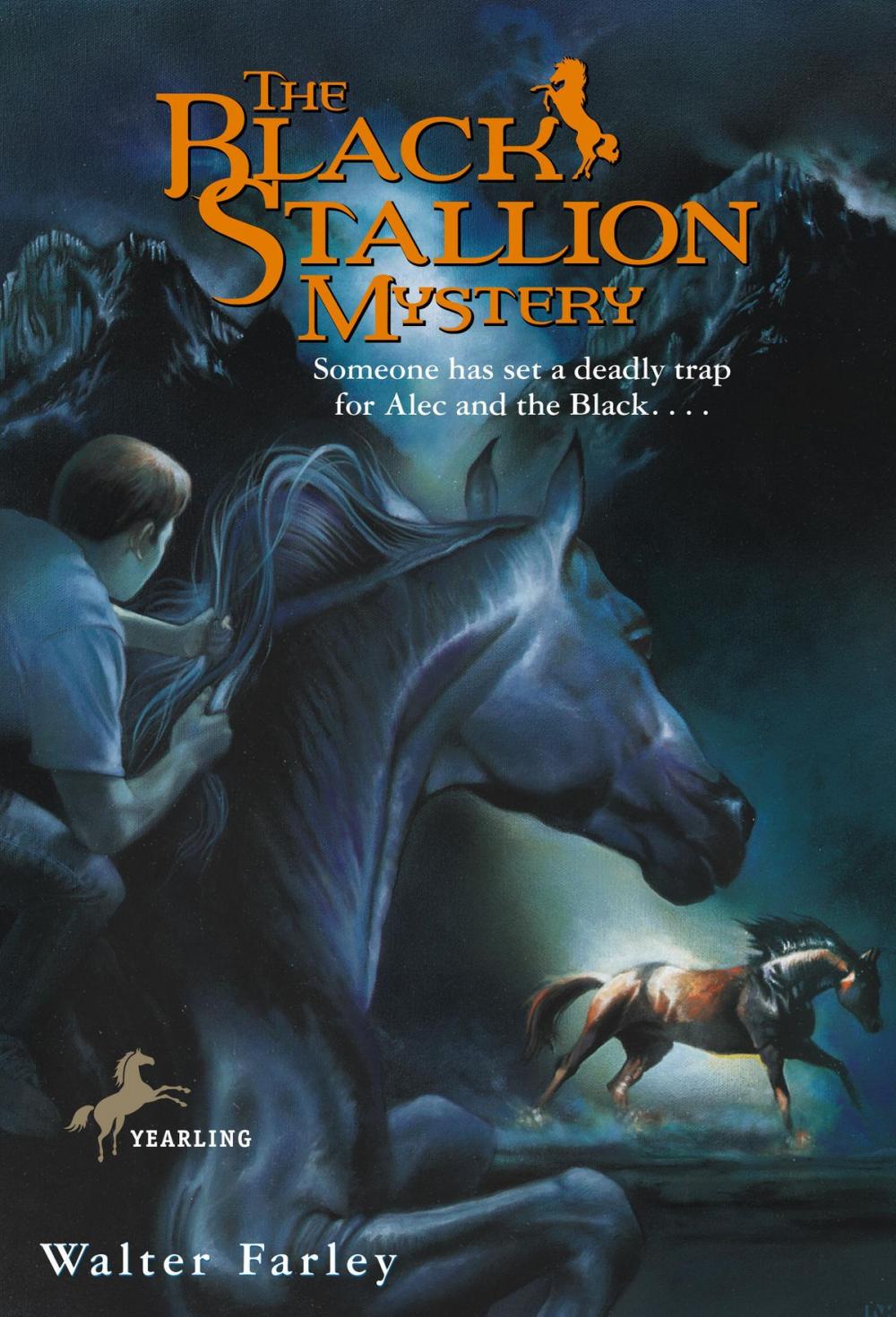 Big bigCover of The Black Stallion Mystery