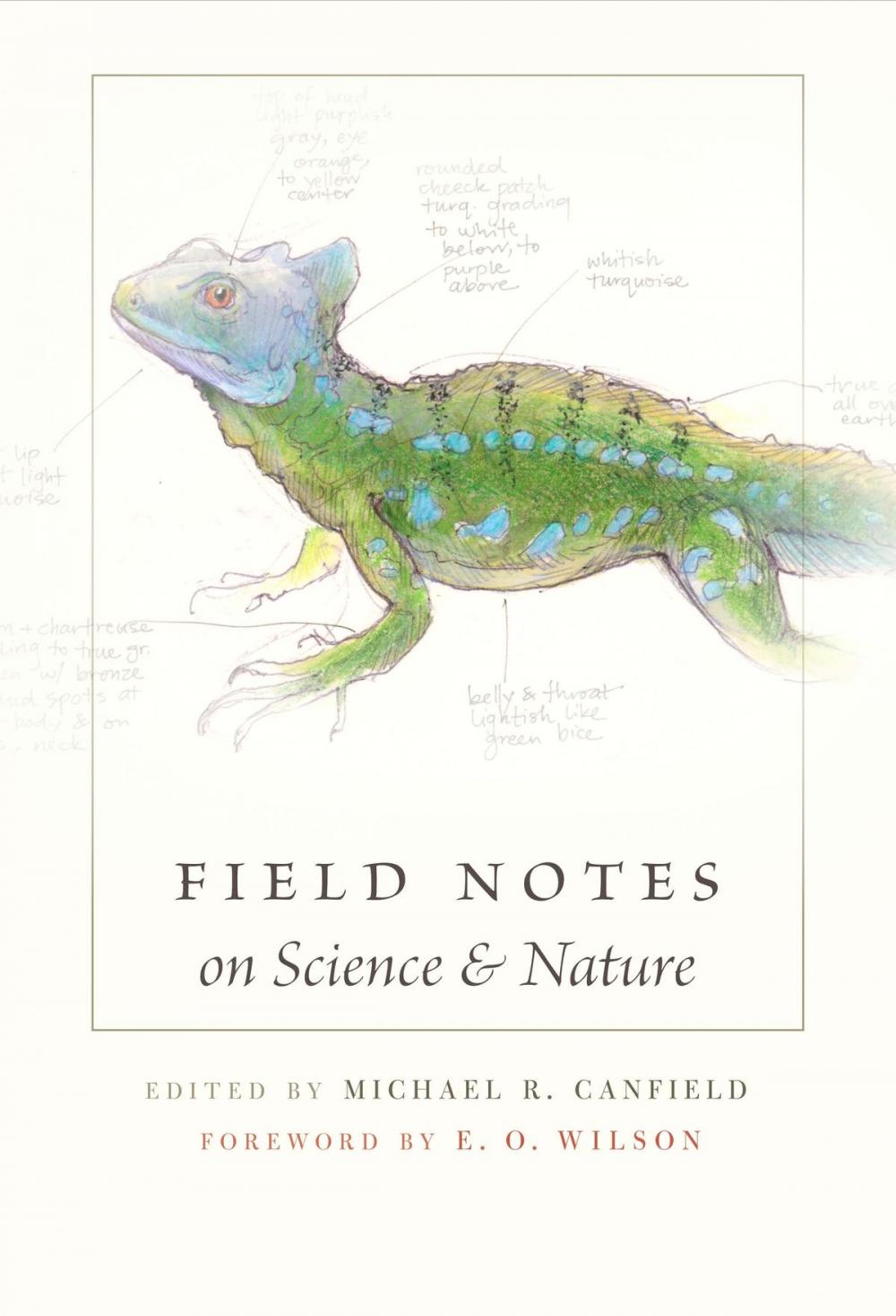 Big bigCover of Field Notes on Science & Nature