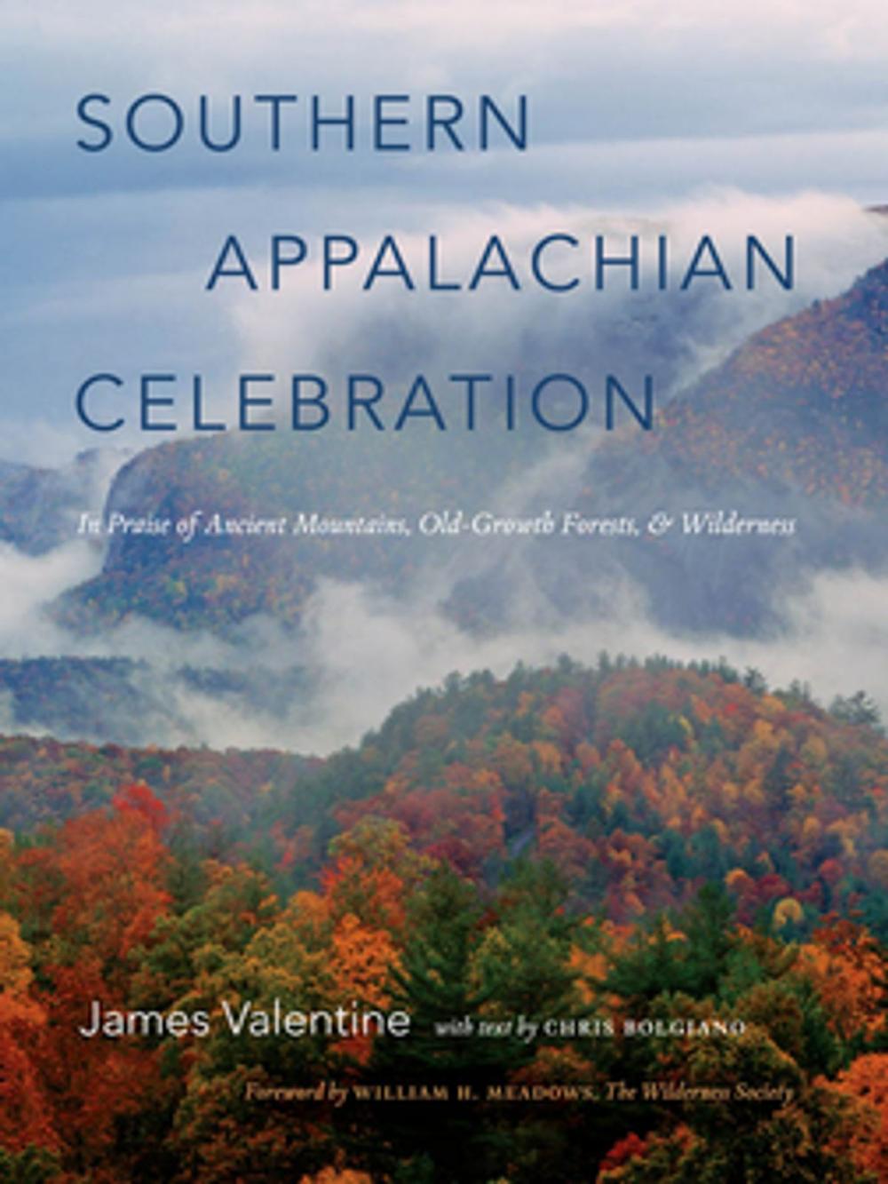 Big bigCover of Southern Appalachian Celebration