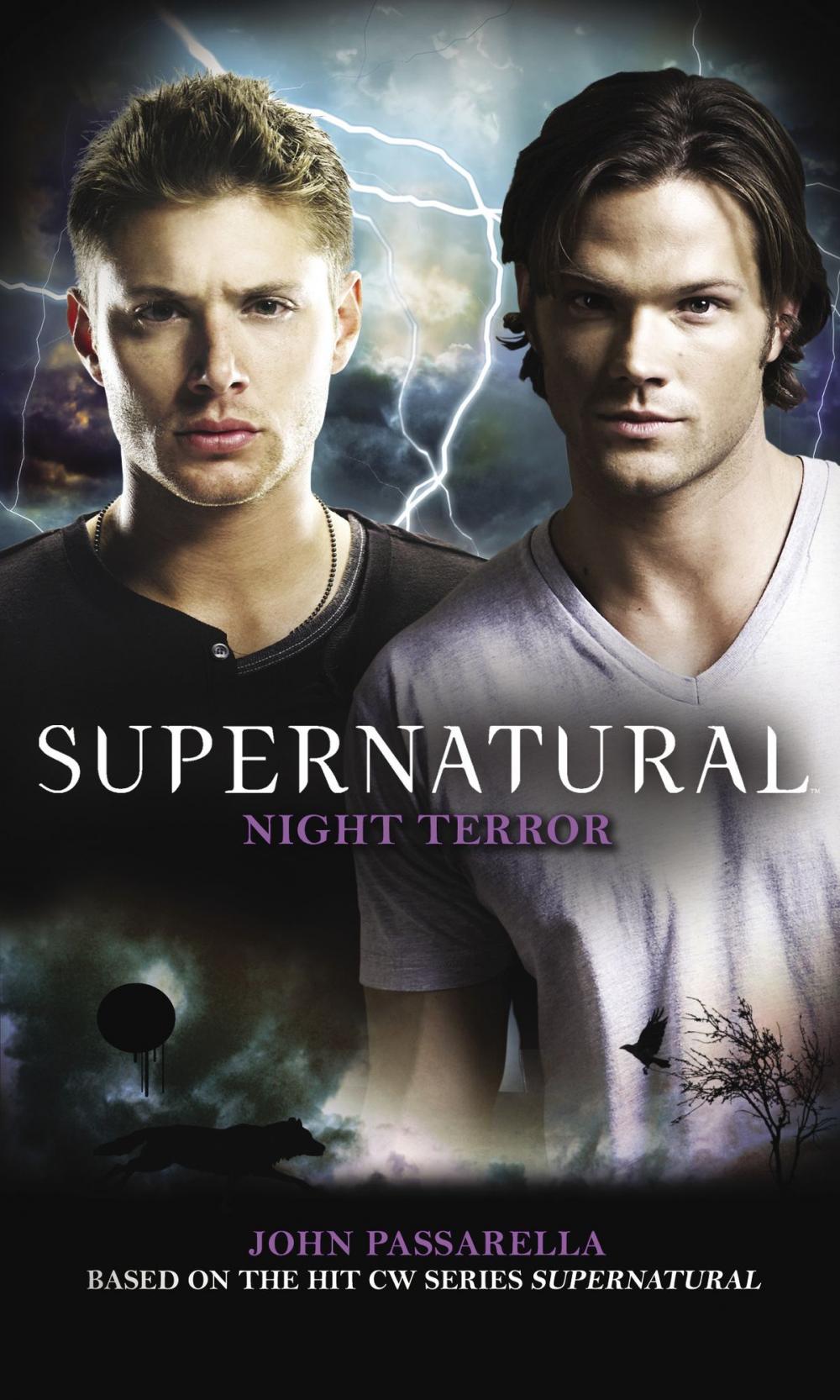 Big bigCover of Supernatural: Night Terror