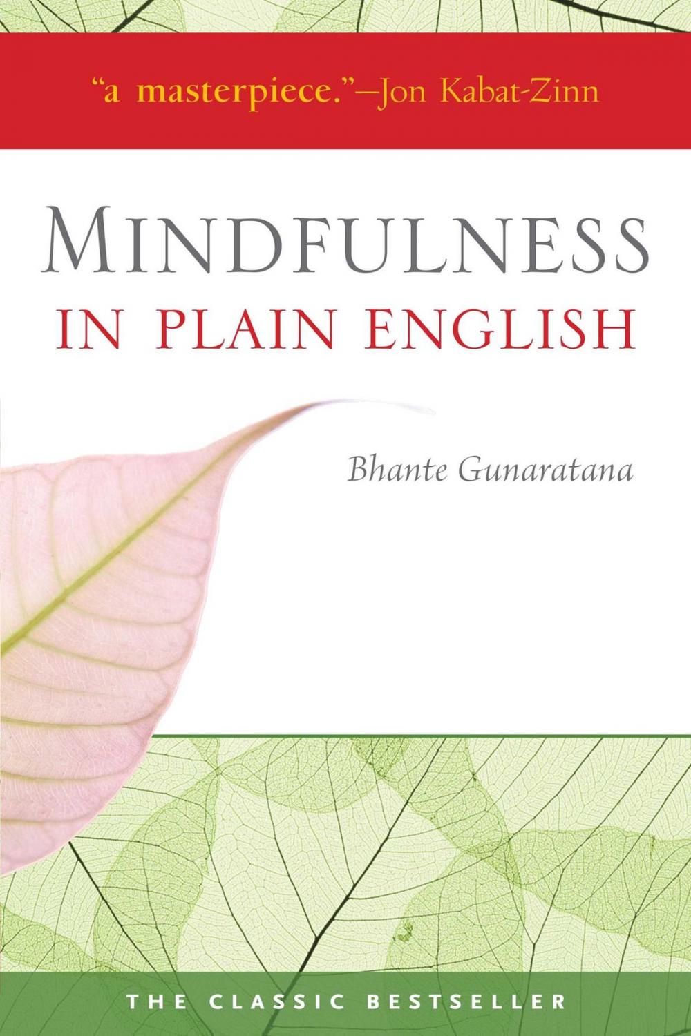 Big bigCover of Mindfulness in Plain English