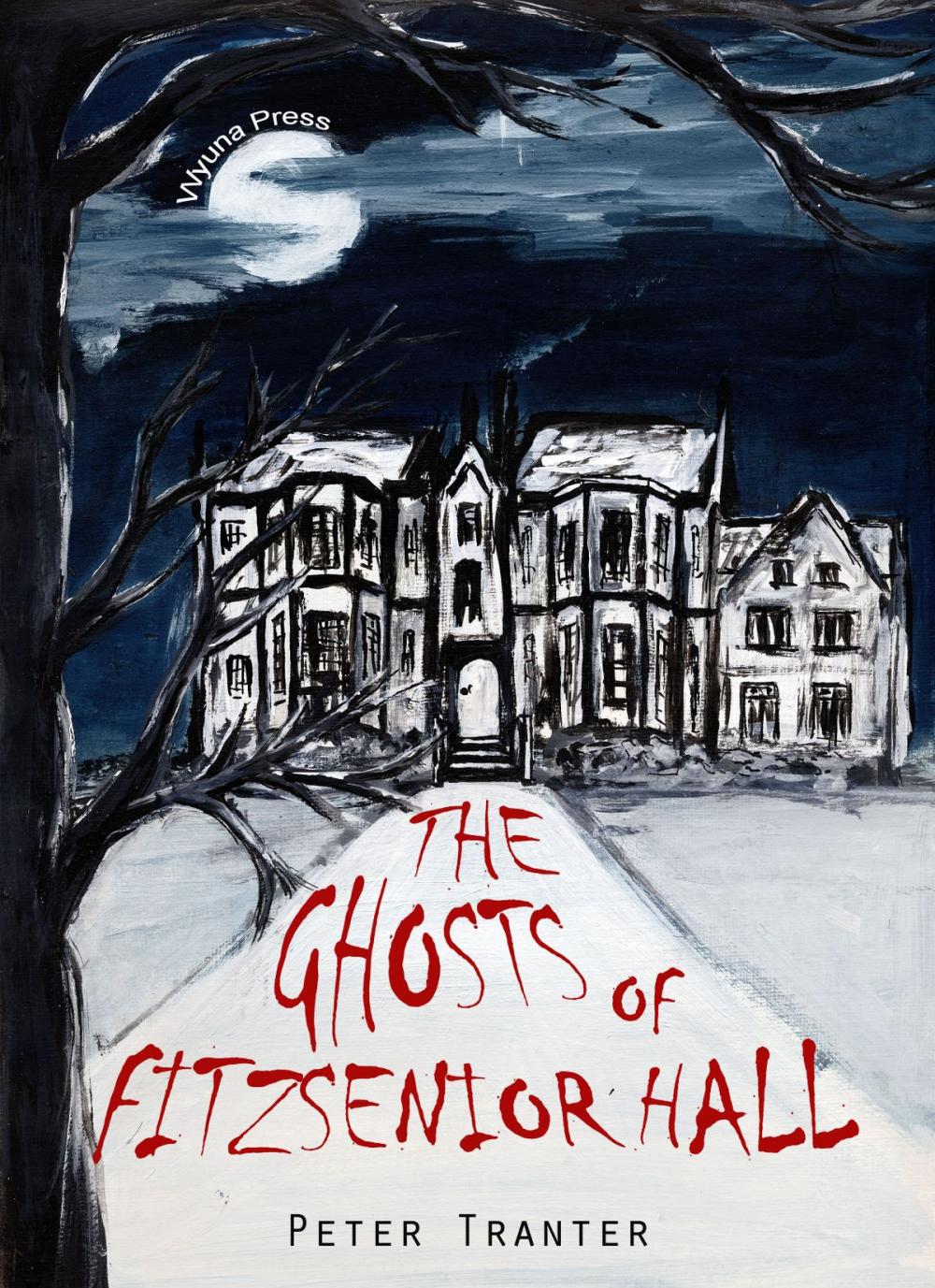 Big bigCover of The Ghosts of Fitzsenior Hall