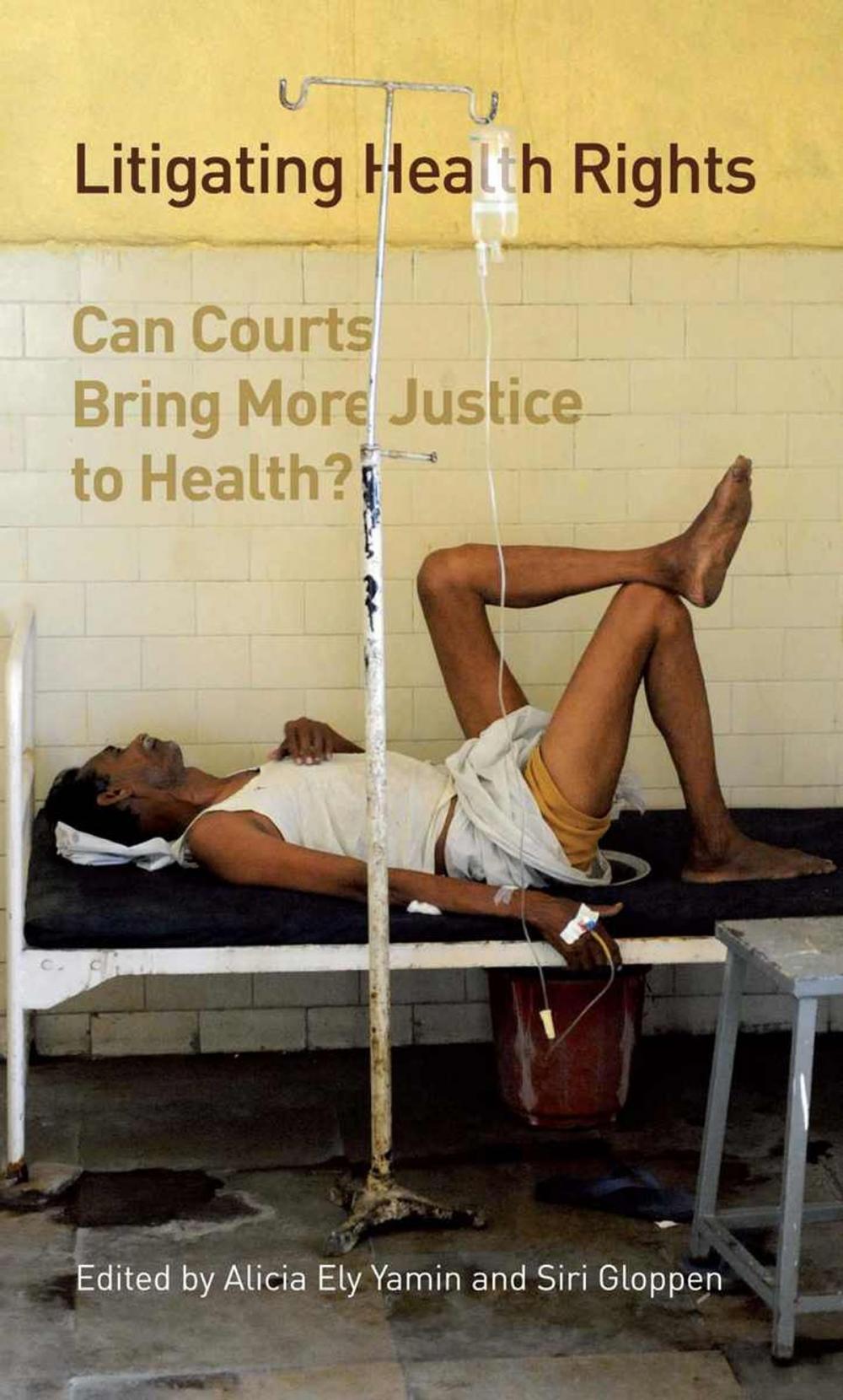 Big bigCover of Litigating Health Rights