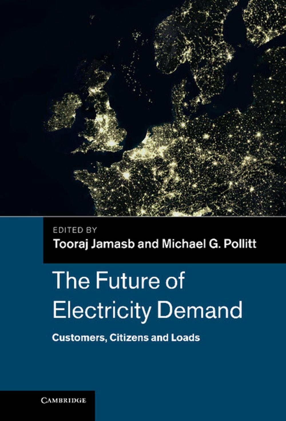 Big bigCover of The Future of Electricity Demand