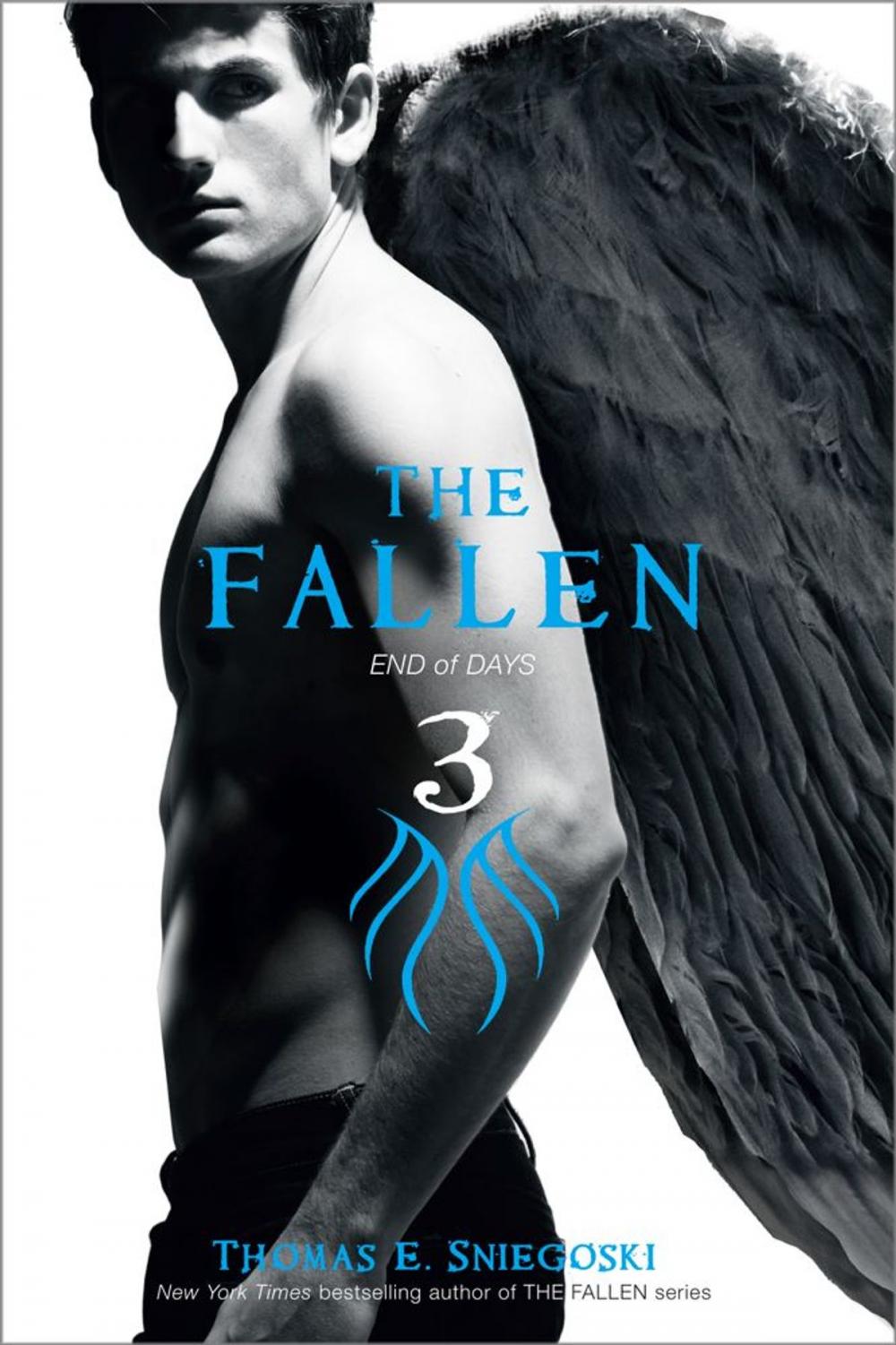 Big bigCover of The Fallen 3