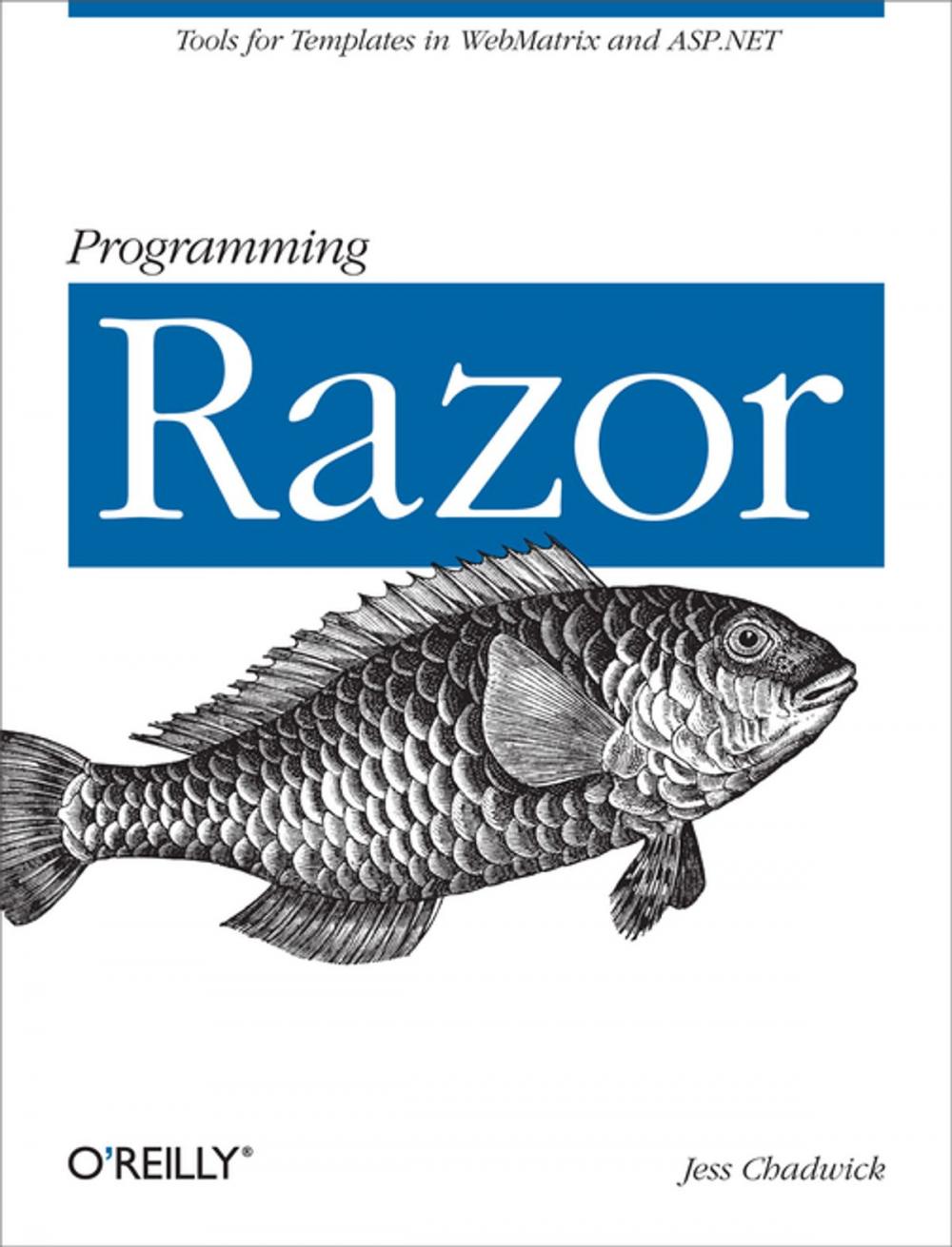Big bigCover of Programming Razor