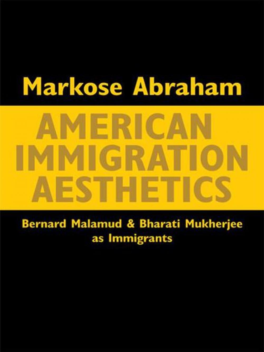 Big bigCover of American Immigration Aesthetics