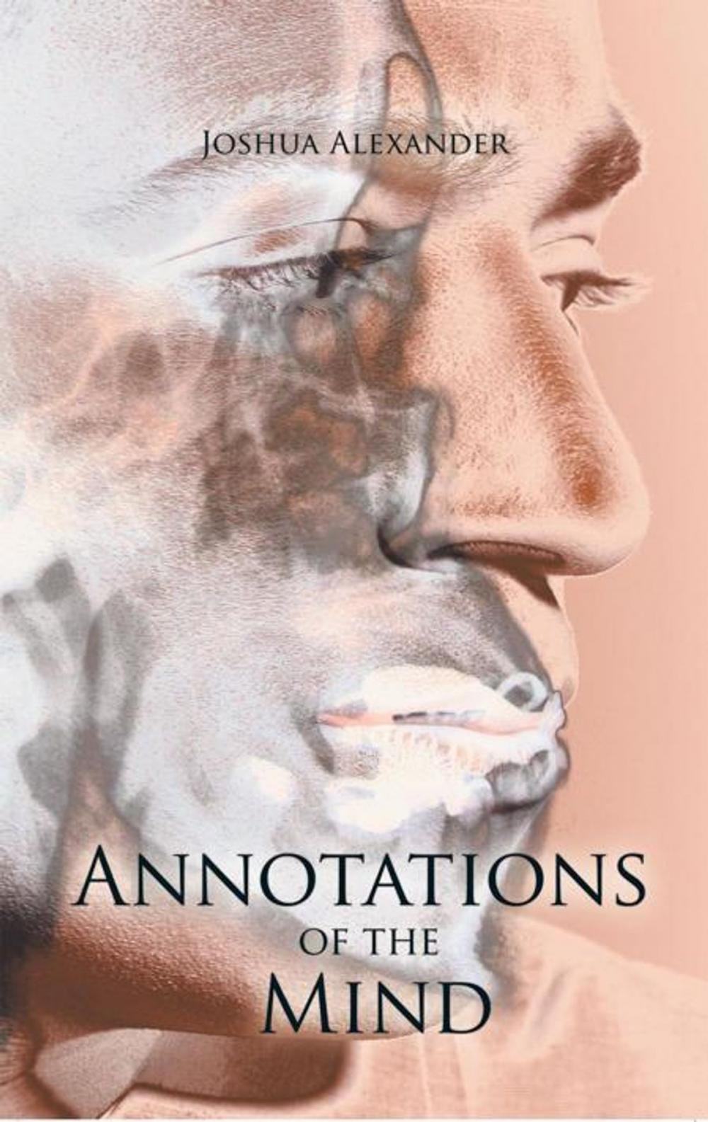 Big bigCover of Annotations of the Mind