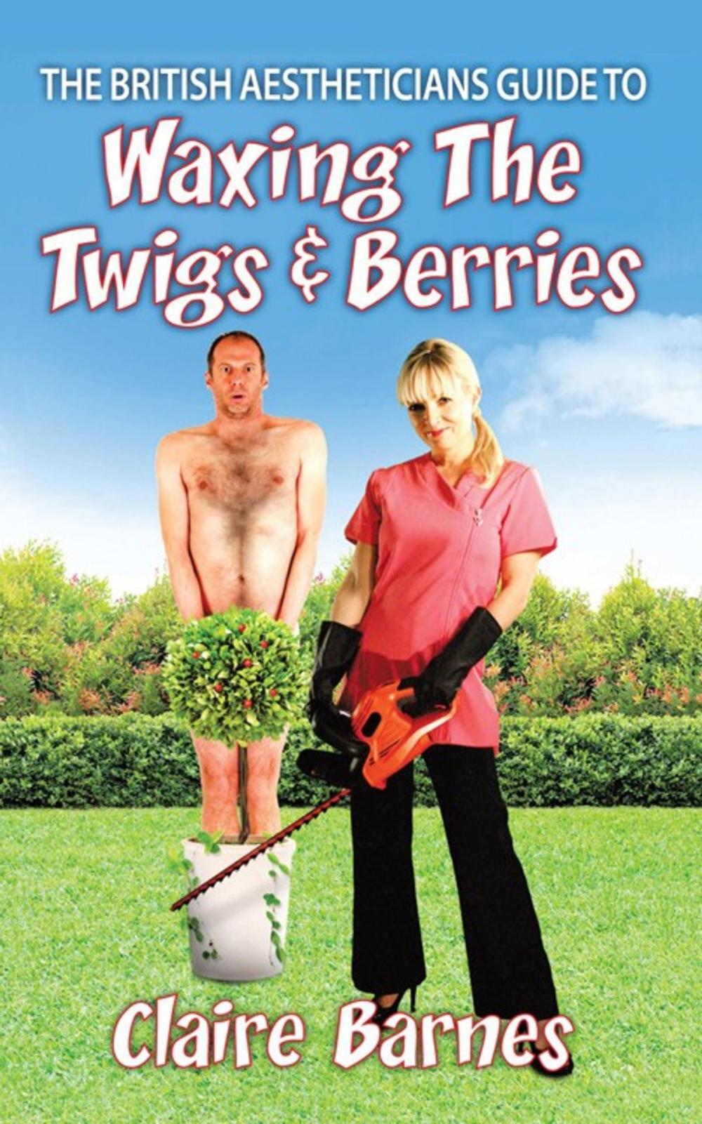 Big bigCover of The British Aestheticians Guide to Waxing the Twigs & Berries