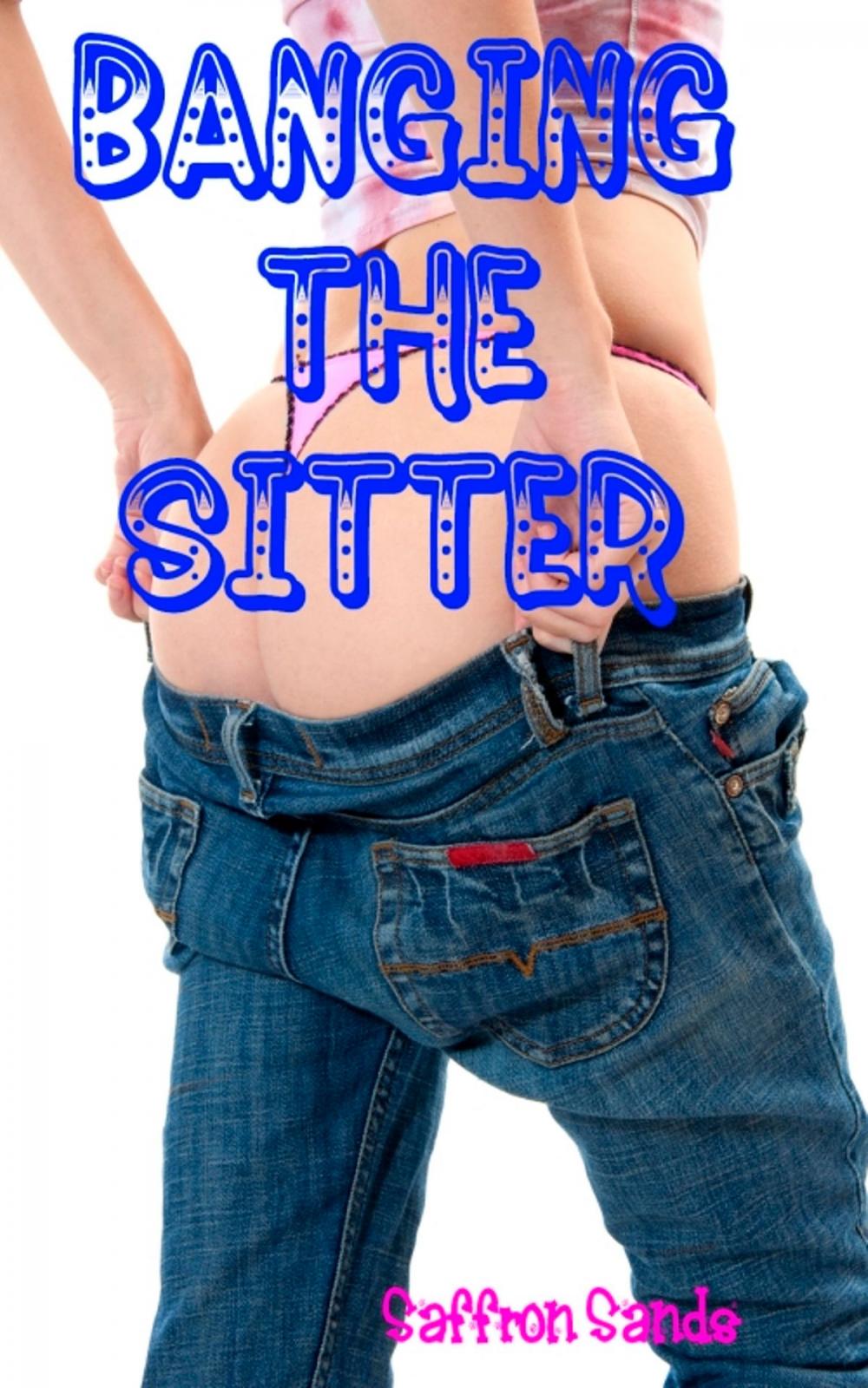 Big bigCover of Banging The Sitter