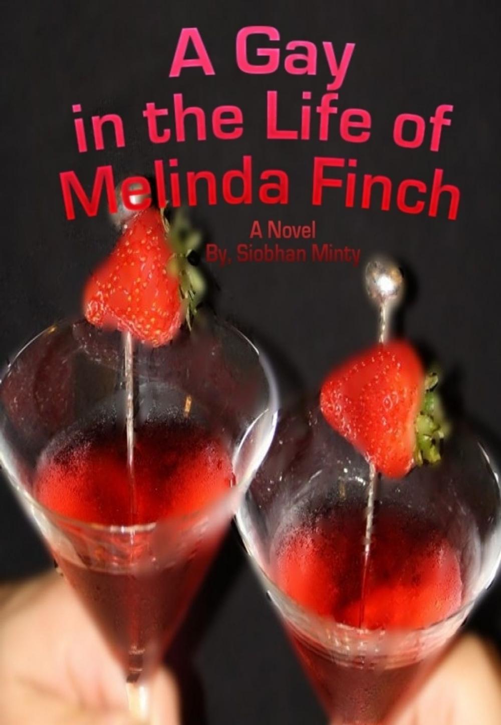 Big bigCover of A Gay in the Life of Melinda Finch