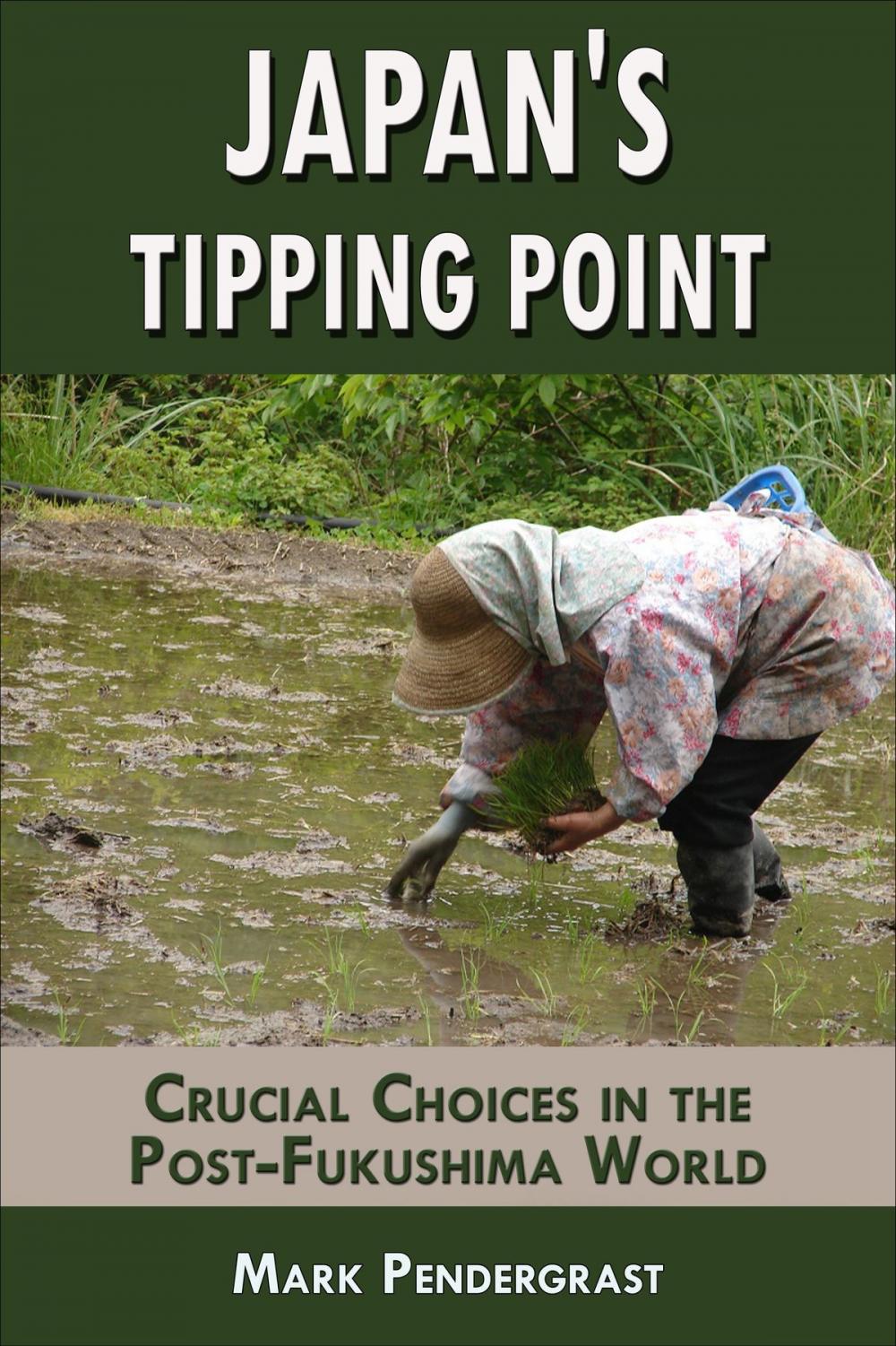 Big bigCover of Japan's Tipping Point: Crucial Choices in the Post-Fukushima World