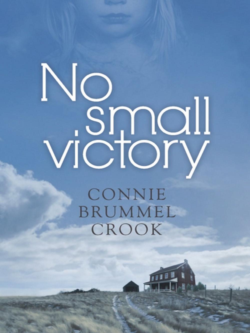 Big bigCover of No Small Victory