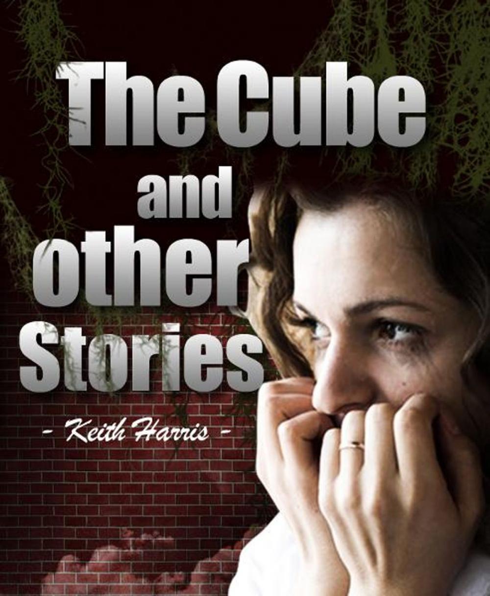 Big bigCover of The Cube and other stories