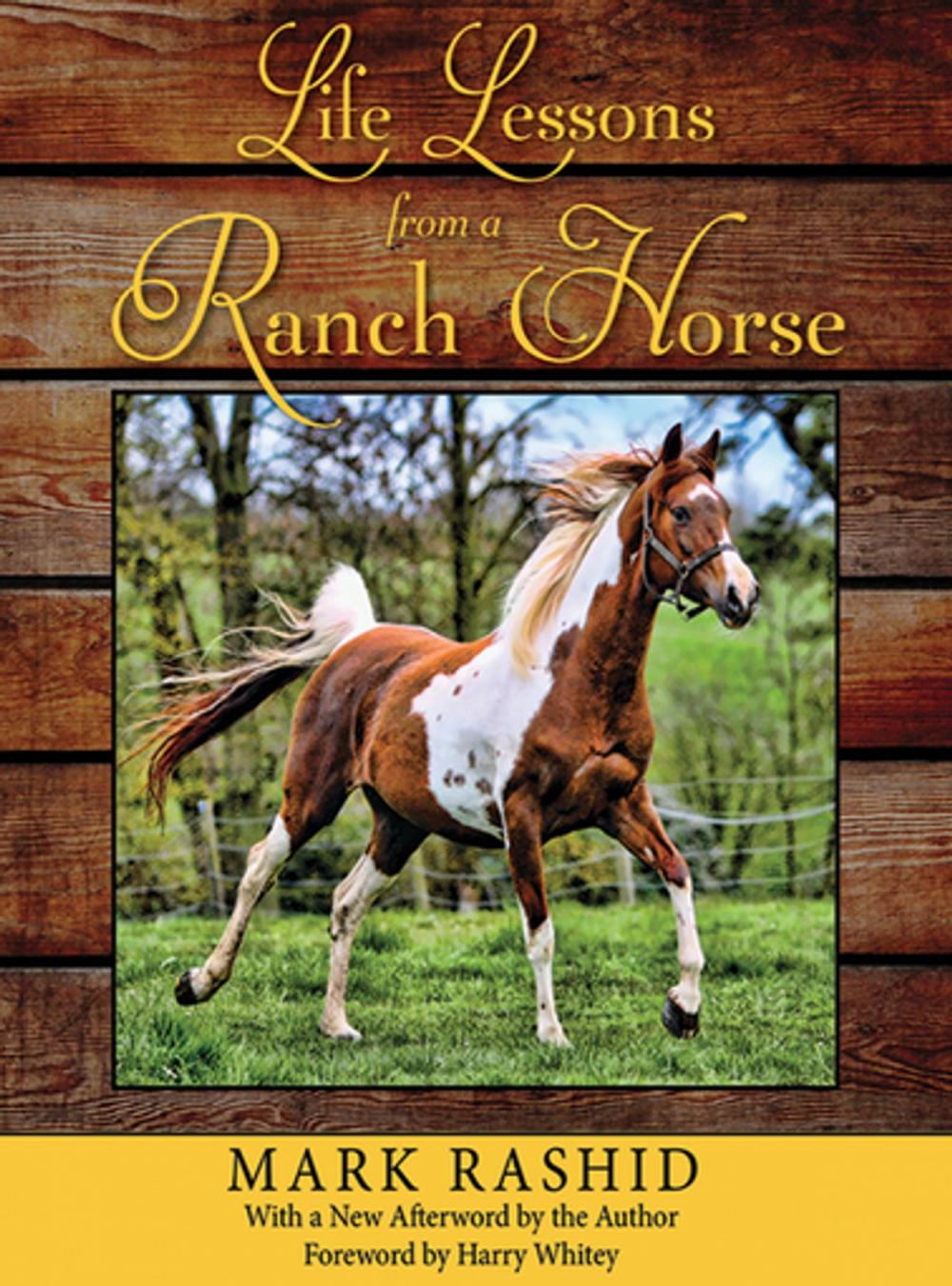Big bigCover of Life Lessons from a Ranch Horse