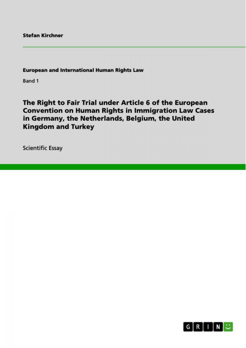 Big bigCover of The Right to Fair Trial under Article 6 of the European Convention on Human Rights in Immigration Law Cases in Germany, the Netherlands, Belgium, the United Kingdom and Turkey