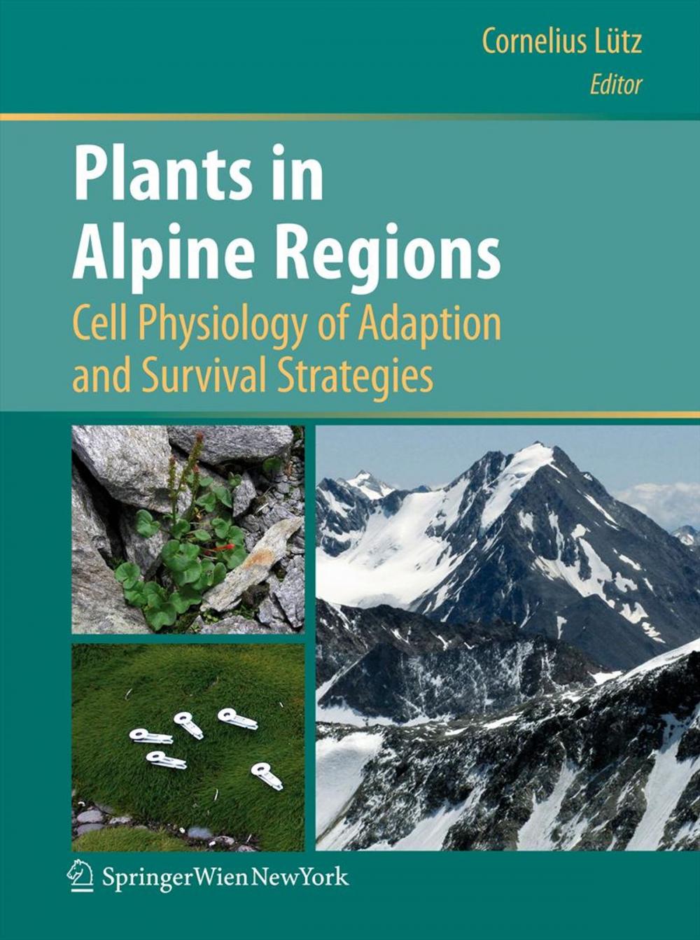 Big bigCover of Plants in Alpine Regions