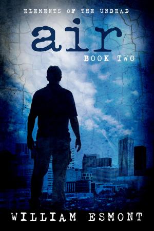 Cover of the book Air by Christopher Harris