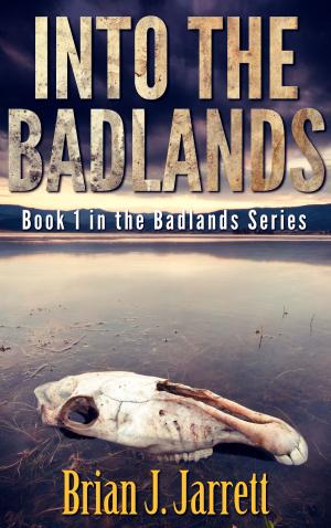 Cover of the book Into the Badlands by Brian J. Jarrett