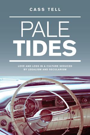 Book cover of Pale Tides